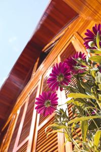 un montón de flores púrpuras delante de una casa en Pousada Chalés do Vale - Vale dos Vinhedos, en Bento Gonçalves