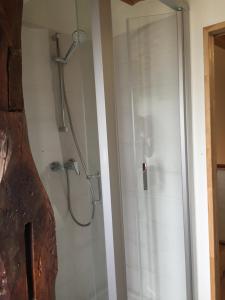 prysznic w łazience ze szklanymi drzwiami w obiekcie Loft ravissant avec parking gratuit sur place w mieście Lédat