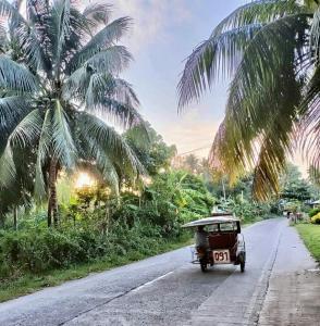 un coche conduciendo por una carretera con palmeras en Affordable Staycation Home for 2-3 People! en Dauin