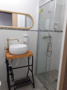 W łazience znajduje się umywalka i prysznic. w obiekcie PENSIUNEA Bori w mieście Gura Humorului