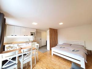 Kuchyň nebo kuchyňský kout v ubytování Apartmány U Muzea