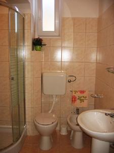 ein Bad mit einem WC, einem Waschbecken und einer Dusche in der Unterkunft Apartment in Slatine with terrace, air conditioning, WiFi, washing machine (4782-3) in Slatine