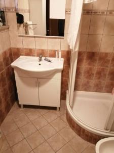 Koupelna v ubytování Apartment in Stara Novalja with sea view, balcony, air conditioning, WiFi (4897-2)