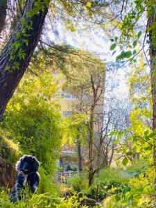 a teddy bear sitting in the middle of a forest at The Dog on the Hill in Manāli