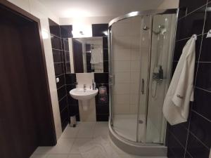 a bathroom with a shower and a sink at Apartament Perła 22 Jezioro Pluszne in Mörken