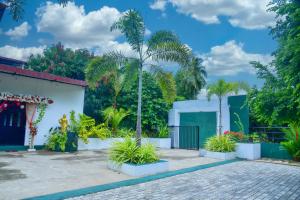 ダンブッラにあるNew Isuru Cityのヤシの木が茂る中庭のある家