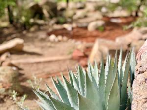 普雷斯科特Prickly Pear Unique Studio with bathroom built into the Granite boulders, Amazing Views, Front & back porches, Firepit,Dog friendly的相册照片