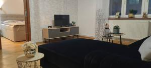 a living room with a couch and a tv at Apartmán Višňovka in Pardubice