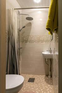 ein Bad mit einer Dusche, einem WC und einem Waschbecken in der Unterkunft Randla 14 Tallinn in Tallinn