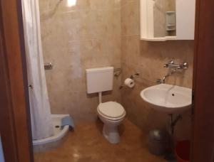 mała łazienka z toaletą i umywalką w obiekcie Apartment in Novalja with sea view, terrace, WiFi 3572-2 w Novalji +37 zdjęć