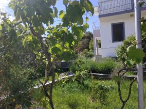 Vonkajšia záhrada v ubytovaní Apartment in Razanj with terrace, air conditioning, WiFi, washing machine 3567-1