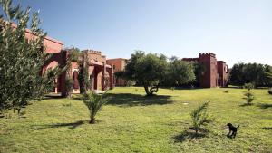Domaine de l'Arganeraie外面的花园