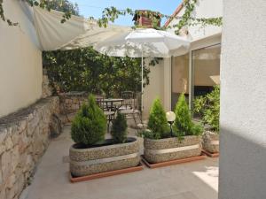 Zahrada ubytování Apartment in Povlja with terrace, air conditioning, WiFi, washing machine 3419-3