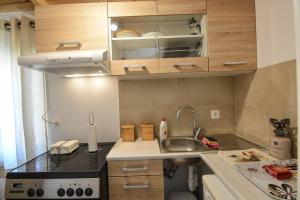 Kuchyň nebo kuchyňský kout v ubytování Dream Apartment Xylokastro