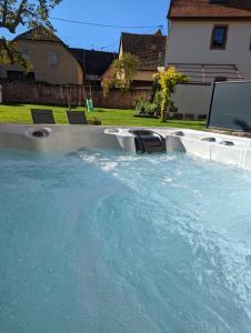 una grande piscina d'acqua in un cortile di La Maison d'Emilie a Pfaffenheim