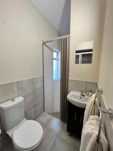 a bathroom with a toilet and a sink at Sea la vie Self Catering Studio Apartment in Gordonʼs Bay +10 photos