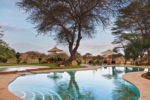 a swimming pool with a tree and tables and umbrellas at Tawi Lodge in Amboseli