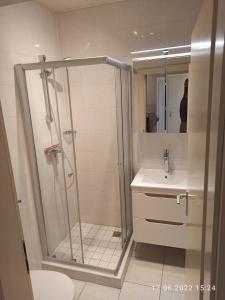 a bathroom with a shower and a toilet and a sink at Ferienhaus D51 Europa Feriendorf 2-5 Personen in Lichtenau