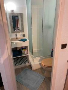 een badkamer met een douche, een toilet en een wastafel bij Studio tout équipé centre ville Dol de Bretagne in Dol-de-Bretagne