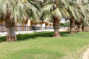 Vonkajšia záhrada v ubytovaní Global Properties, Apartamento con gran terraza y piscina