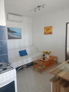 Pokój z kanapą, stołem i kuchenką w obiekcie Apartments Topić w mieście Privlaka