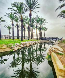 een zwembad met palmbomen in een park bij PENTHOUSE NEAR MALAGA TOWN also long term and available car in Málaga