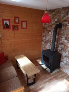 salon z piecem opalanym drewnem i kanapą w obiekcie Cztery Pory Roku - Domek 