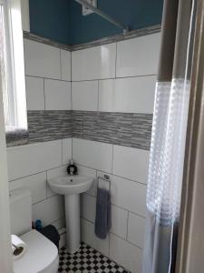 La petite salle de bains est pourvue d'un lavabo et de toilettes. dans l'établissement Inviting 1-Bed Apartment in Herne Bay, à Herne Bay