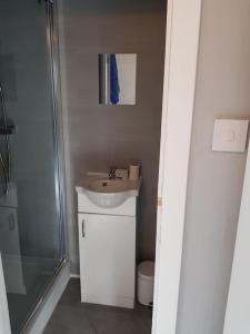 W łazience znajduje się toaleta, umywalka i prysznic. w obiekcie Craigellachie Cabin w Aviemore