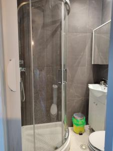 a shower in a bathroom with a toilet and a sink at The North Apartment in Kastoria +19 photos
