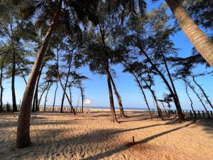 a row of palm trees on the beach at Sands Stone Resorts in Kumta