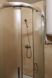a shower with a shower head in a bathroom at Toga cottage in Yablunytsya
