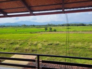 a view of a green field from a porch at Aashirvada in Chikmagalūr