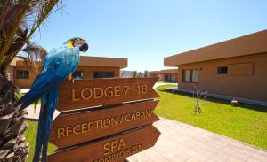 a parrot sitting on top of a sign at Tulum Beach Resort Dakhla in Dakhla