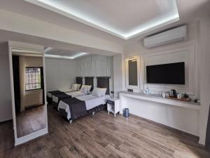 Un televizor și/sau centru de divertisment la Efzen hotel