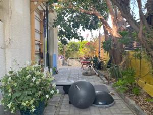 a garden with two large spheres sitting on a patio at Tropicana Guestroom 7 min walk from the beach in Dubai