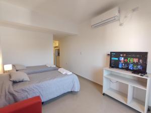 a bedroom with a bed and a flat screen tv at DELFINA suites 2A in La Rioja
