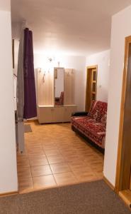 een woonkamer met een bank en een houten vloer bij Cabana Denisa in Rîu de Mori