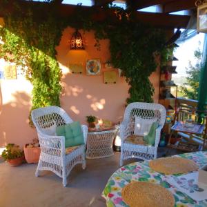 um pátio com cadeiras de vime, mesas e videiras em La Terrazza sul Monferrato em Ozzano Monferrato