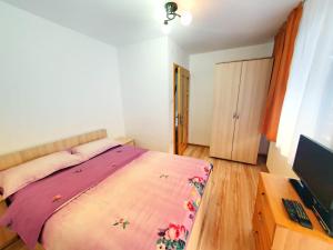 Dormitorio con cama, escritorio y TV en Cabana Denisa, en Rîu de Mori