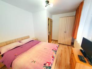 een slaapkamer met een bed, een bureau en een televisie bij Cabana Denisa in Rîu de Mori