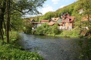 a river in the middle of a town with houses at Hotel Weißes Roß in Altenbrak