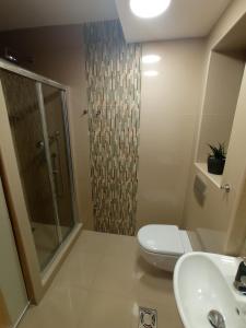 a bathroom with a shower and a toilet and a sink at KaLuMa in Belgrade +4 photos