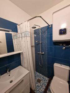 a bathroom with a shower and a toilet and a sink at Villa Paola in Bol