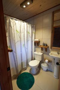 a bathroom with a toilet and a sink and a shower curtain at Entre Pampa y Bosque in Villarrica +173 photos