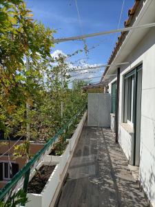 - un balcon d'une maison ornée de plantes dans l'établissement Rock n Rome - Colosseo - Via Leonina, à Rome