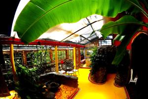 El Refugio La Brisa del Diablo في Valle Hornito: غرفة بها مجموعة من النباتات في البيت الزجاجي