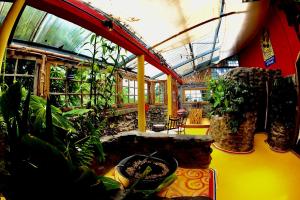 une pièce remplie de nombreuses plantes dans un bâtiment dans l'établissement El Refugio La Brisa del Diablo, à Valle Hornito