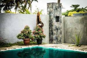 dos macetas junto a una piscina en Infinity of Sri Lanka en Paiyagala South
