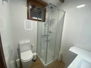 uma casa de banho com uma cabina de duche em vidro e um WC. em Apartamento Vilaflor em Vilaflor